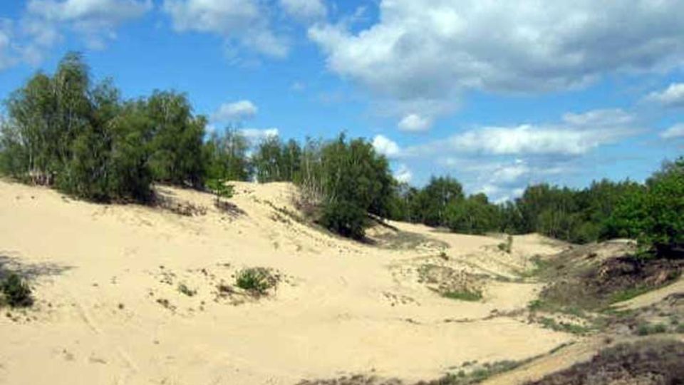 Binnendüne