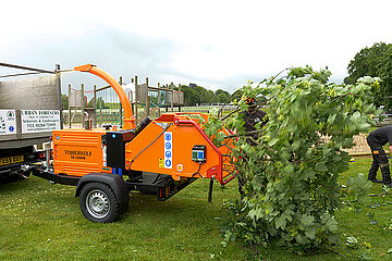 Timberwolf Profihäcksler