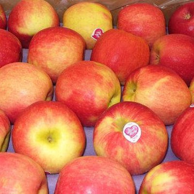 Äpfel