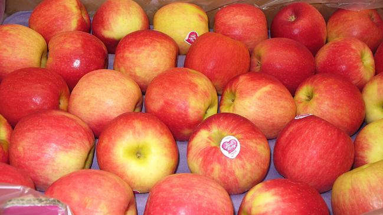 Äpfel