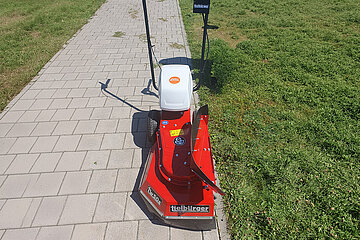 Wildkrautbürste