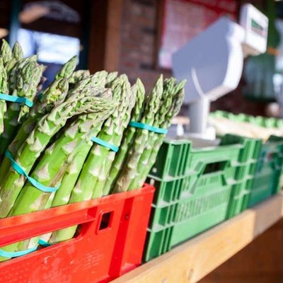 Spargel