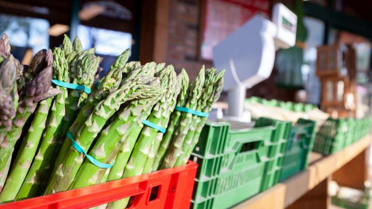 Spargel