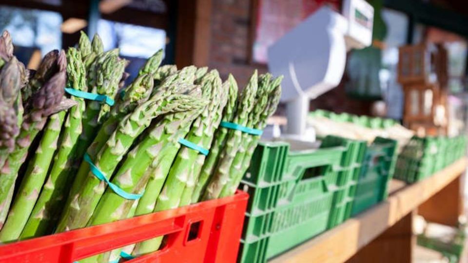 Spargel