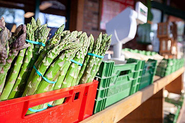 Spargel