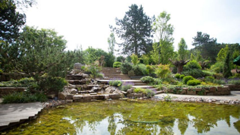 FirmenGarten-Wettbewerb 2012