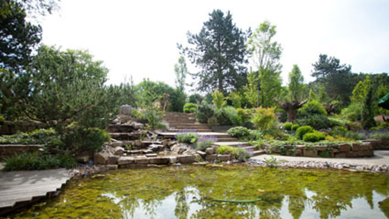 FirmenGarten-Wettbewerb 2012