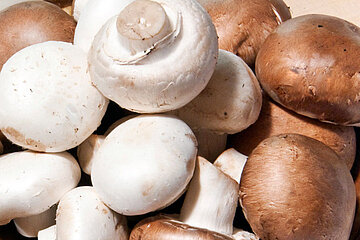 Champignon