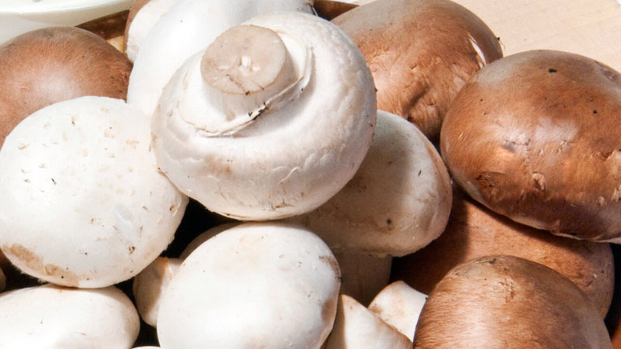 Champignon