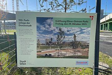 Image-13729
