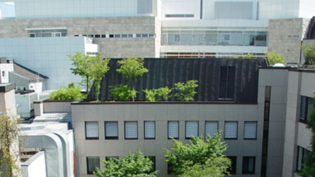BGL-Dachbegrünung