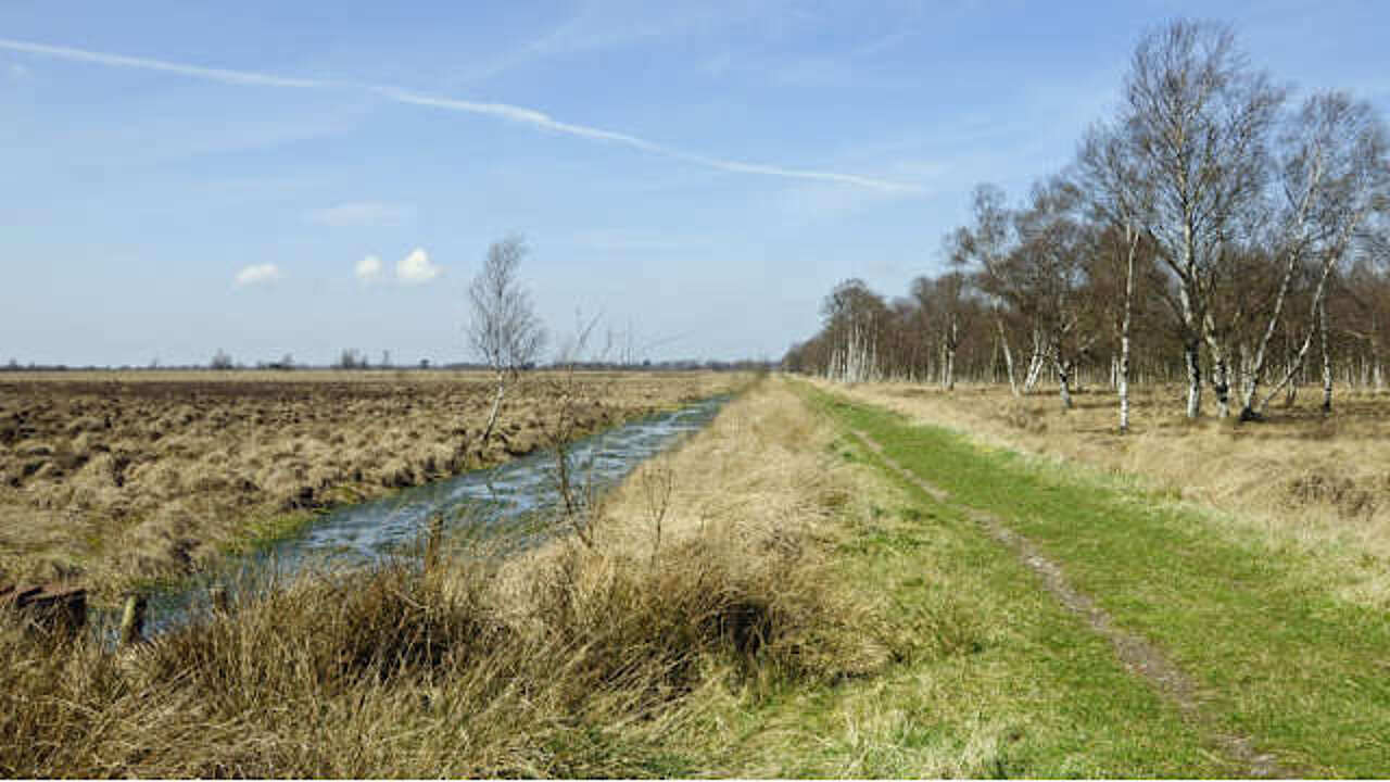 image-16018