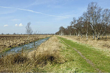 Image-16018