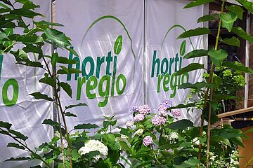 horti-regio