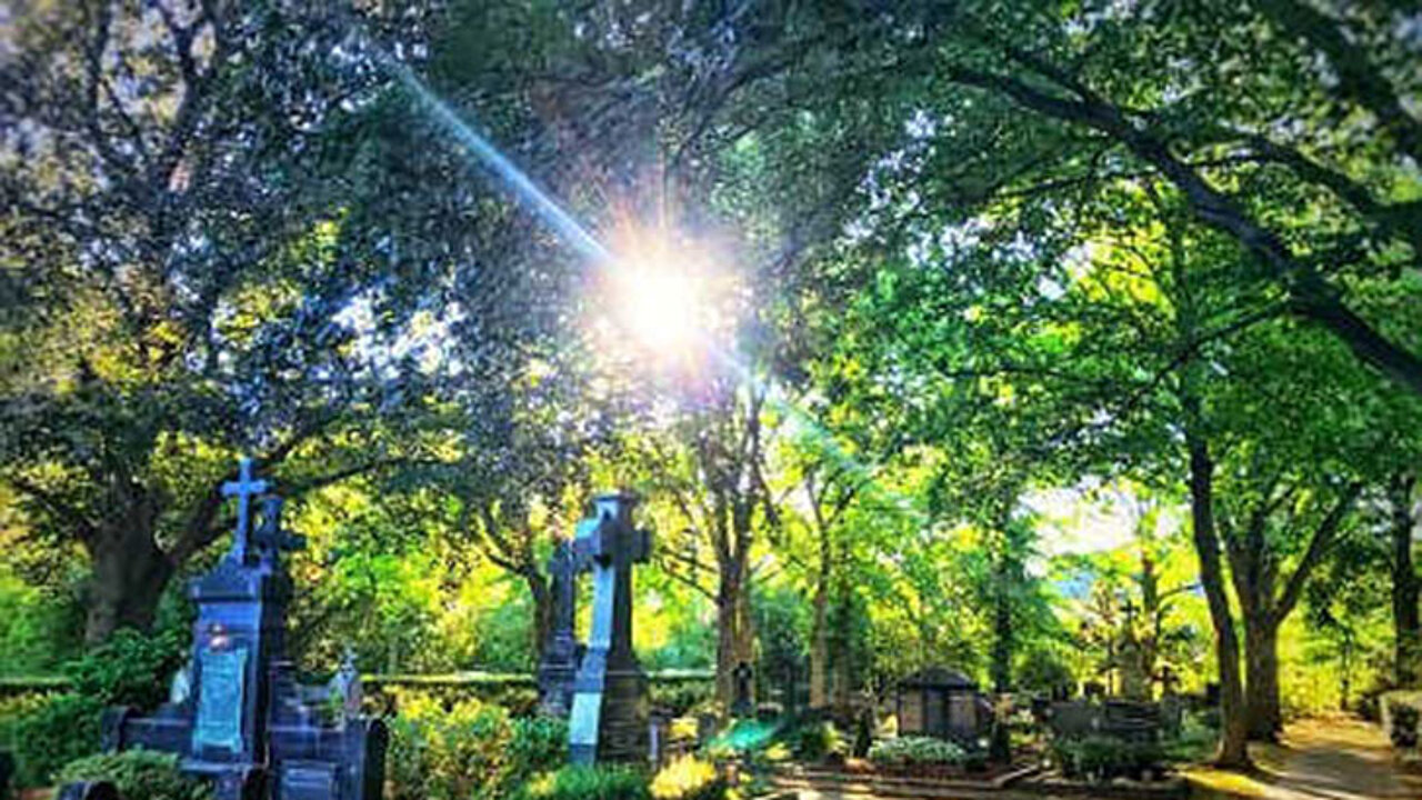 Friedhof