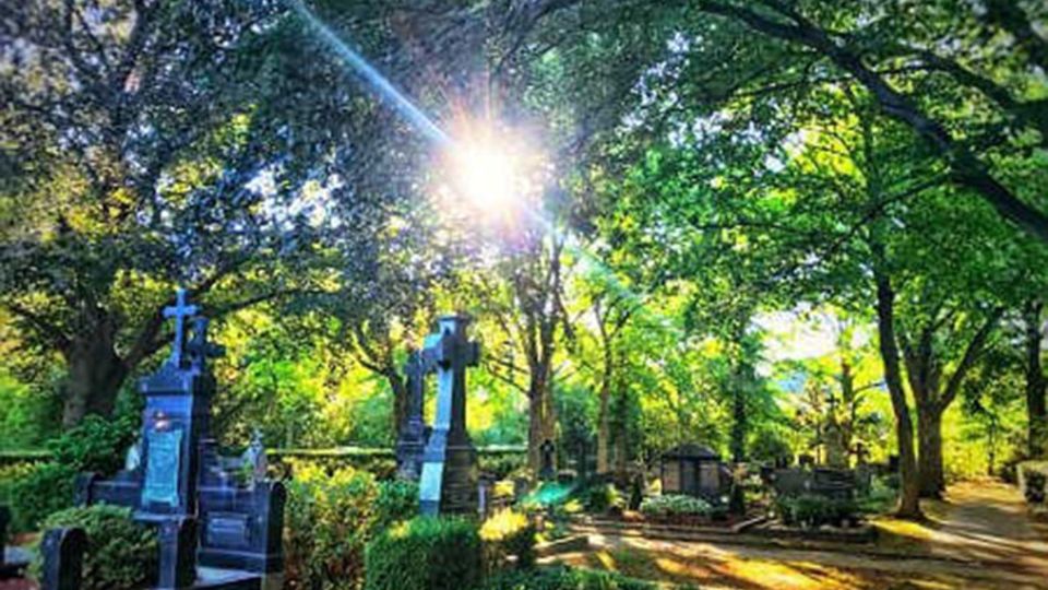 Friedhof