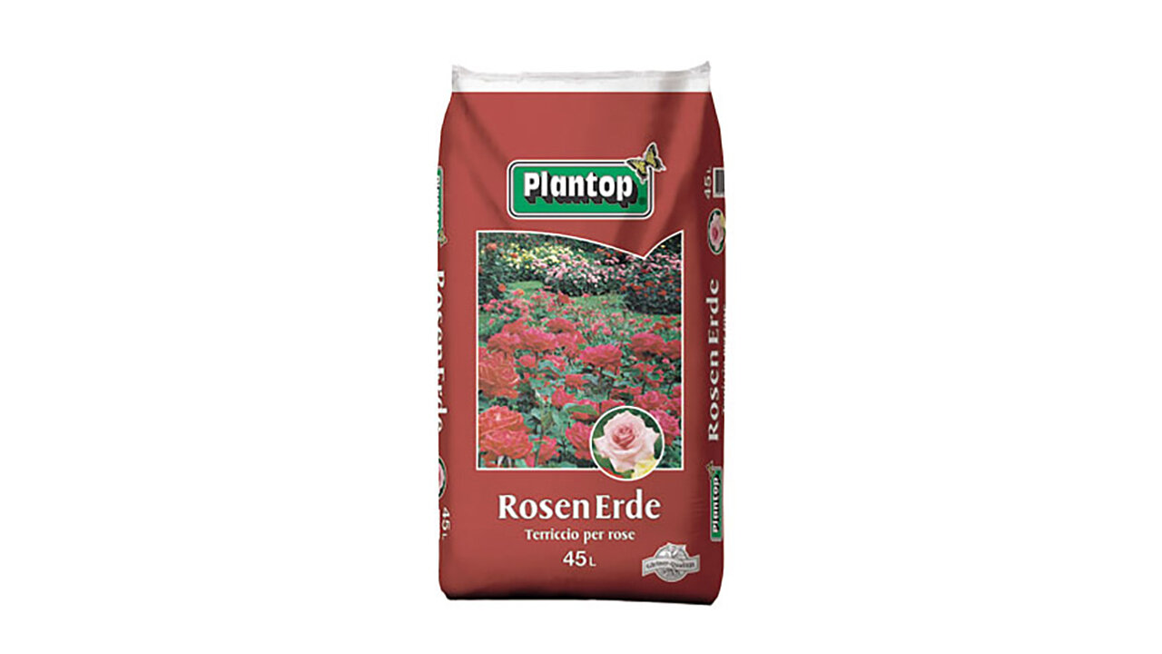 Rosenerde