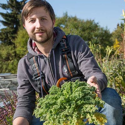 Erntezeit in luftiger Höhe