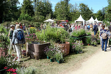 Schloss Wolfsgarten