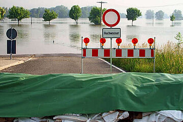 Image-13227