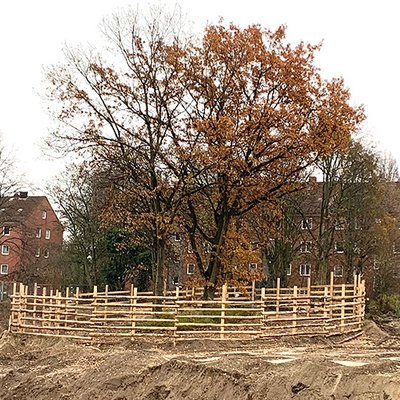 Deutsche Baumpflegetage 2024 Baumschutz