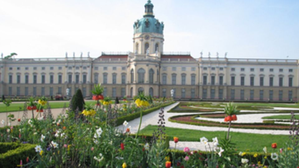 Frühjahrsblumen