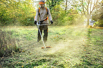 Stihl Akku-Motorsense