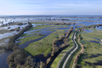 Rühstädter Vorland bei Hochwasser