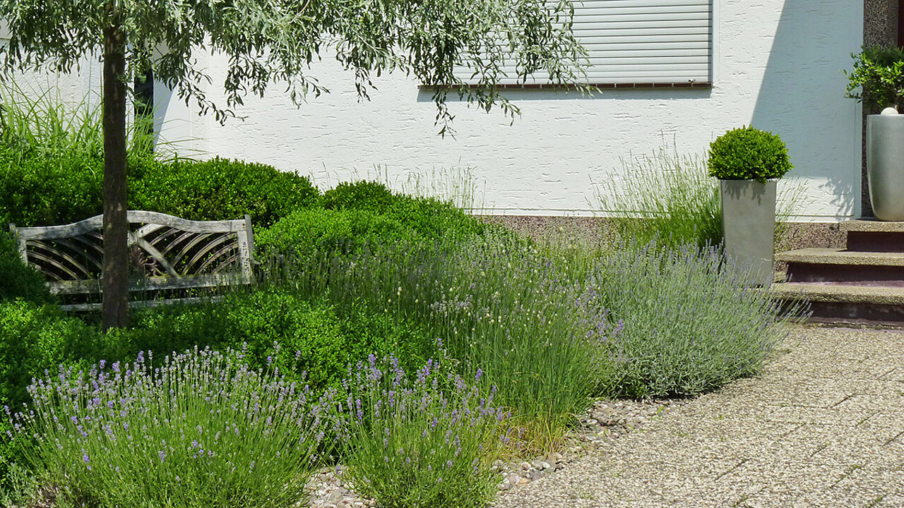 Lebendiger Vorgarten