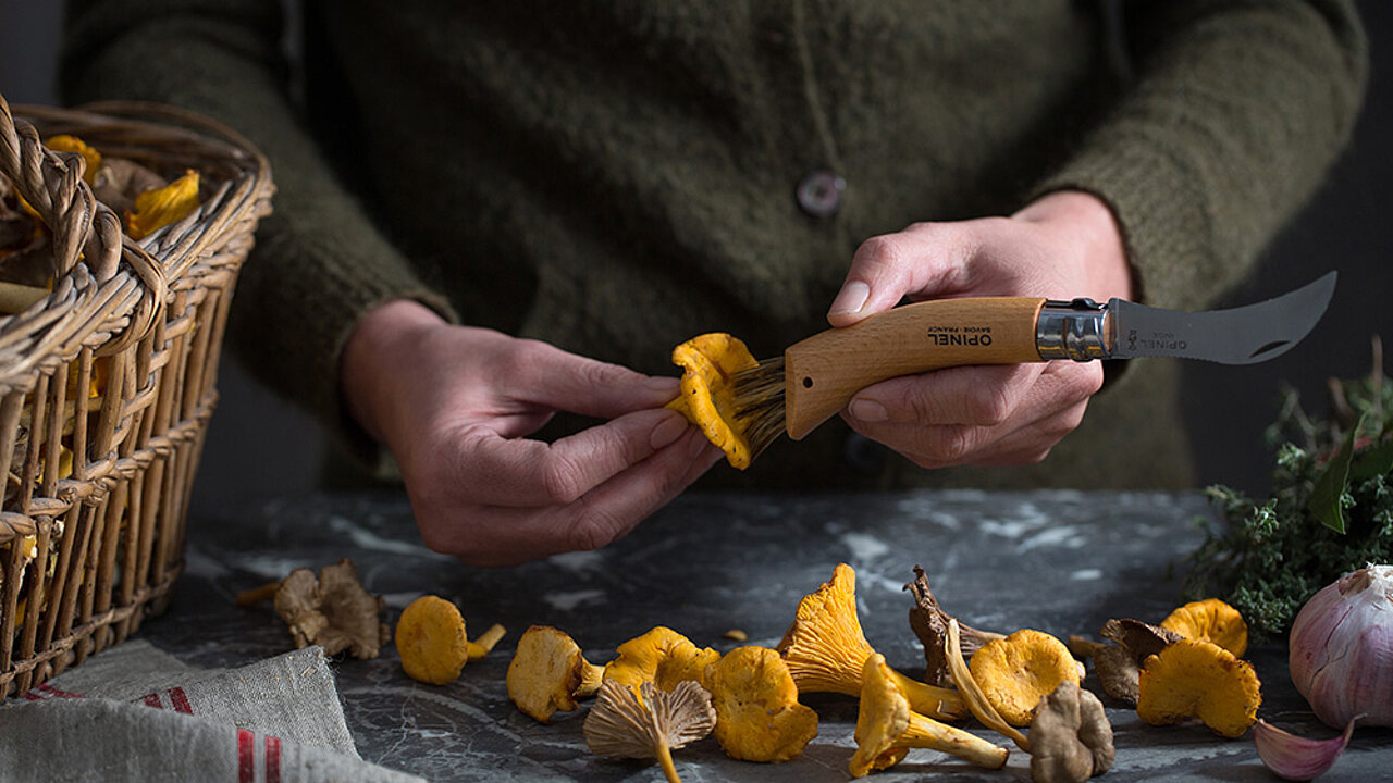 OPINEL Pilzmesser mit Bürste