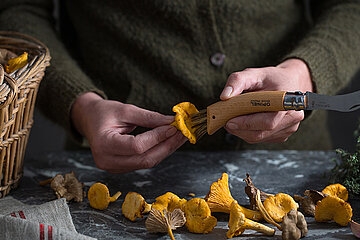 OPINEL Pilzmesser mit Bürste