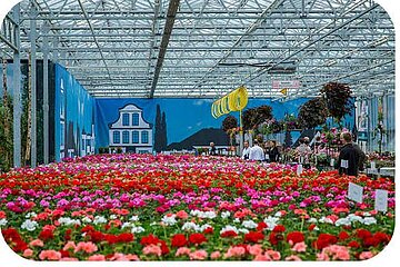 FlowerTrials 2016