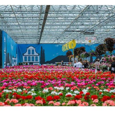 FlowerTrials 2016