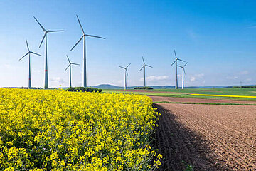 Windpark
