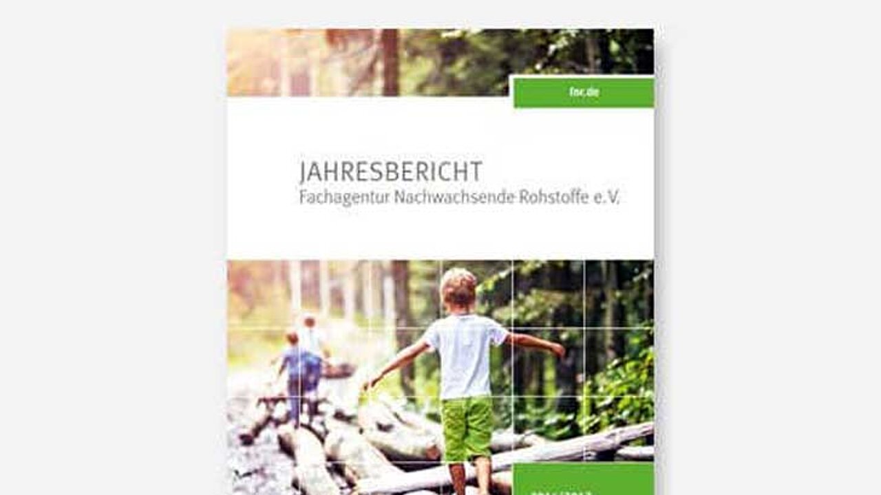 Jahresbericht 2016/17