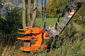 Biomassemobilisierung