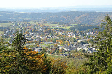 Image-13845