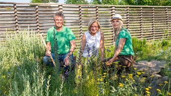 GARTEN TULLN - NATUR IM GARTEN