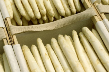Spargel