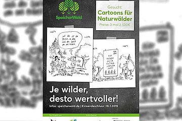 Cartoons für Naturwälder