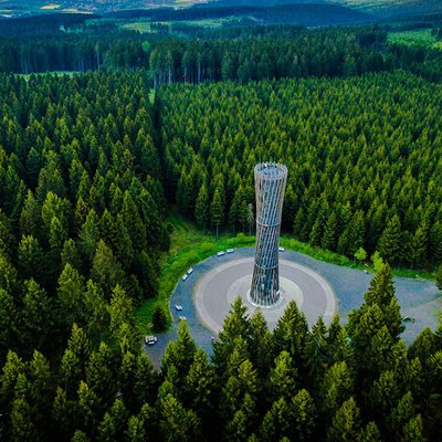 Projekt Wiederaufforstung
