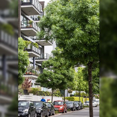 Grüne Städte