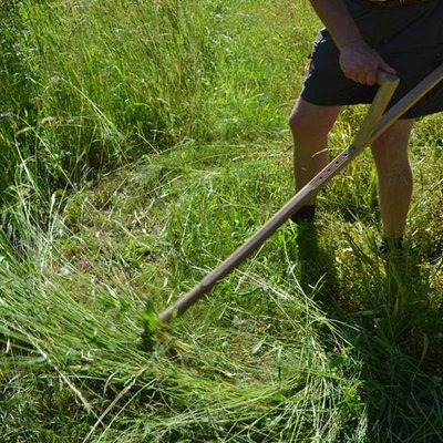 Wiesenmahd