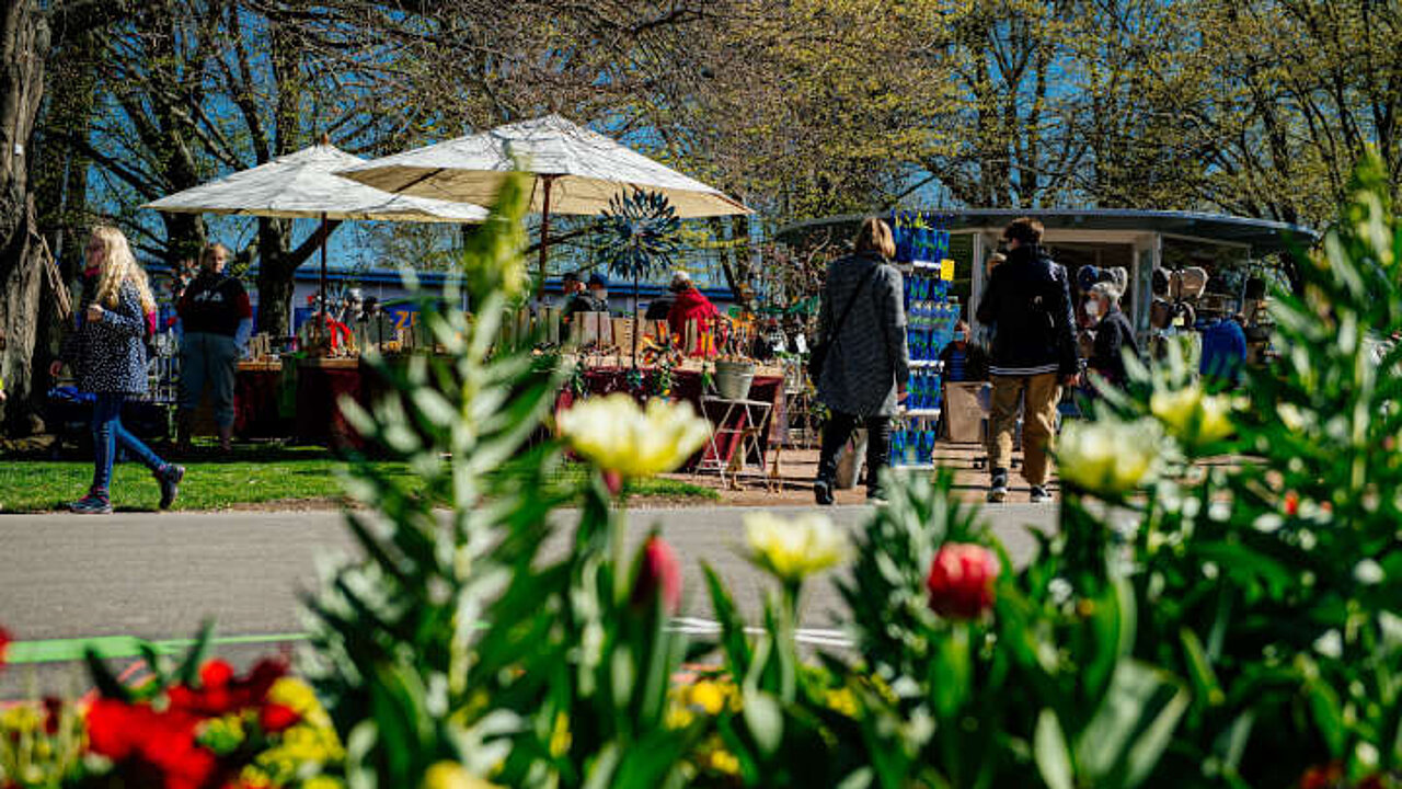 Besucher im Park