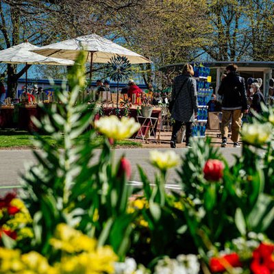 Besucher im Park