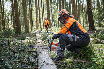 Image-13516