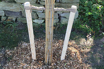 Image-17569