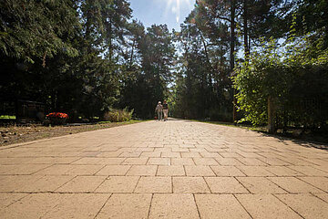 Image-15227