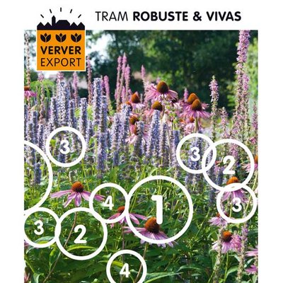 Katalog