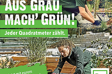 FGL Wettbewerb